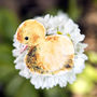 Inky Duckling Eco Wooden Pin Brooch, thumbnail 1 of 6