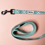 Dog Lead In Sage Green Check Padded Safety Lead, thumbnail 1 of 4