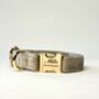 Personalise Pet Gift Dog Collar With Engrave Name, thumbnail 2 of 3