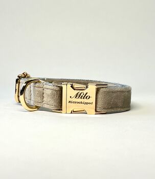Personalise Pet Gift Dog Collar With Engrave Name, 2 of 3