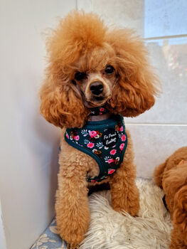 Vintage Clover Green Peonies Dog Harness, 8 of 12