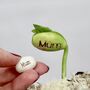 Pack Of Five Message Beanstalk Seeds, thumbnail 1 of 9
