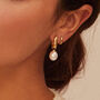 Gold Or Silver Thick Squared Hoop Pearl Drop Earrings, thumbnail 1 of 7