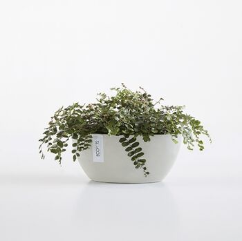Ecopots Sofia Oval Plant Pot Made From Recycled Plastic, 5 of 9