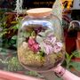 Terrarium Workshop For Two, Leeds, thumbnail 1 of 9