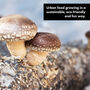 Shiitake Mushroom Log Growing Kit Gift Option, thumbnail 10 of 12