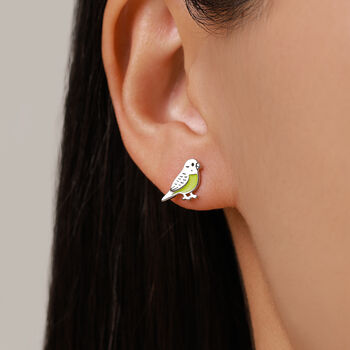 Sterling Silver Green Enamel Budgie Stud Earrings, 7 of 12