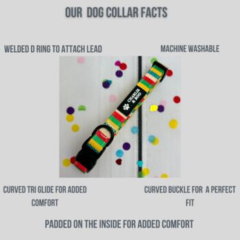 Multi Colour Stripe Dog Collar, 3 of 3