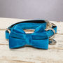 Blue Turquoise Velvet Dog Collar Bow Tie, thumbnail 1 of 5