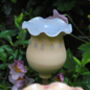 Blue Personalised Ceramic Poppy Seed Head, thumbnail 2 of 8