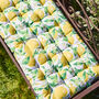 Lemon Print Padded Garden Bench Cushion, thumbnail 3 of 6