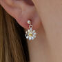 Sterling Silver Daisy Earrings, thumbnail 1 of 6