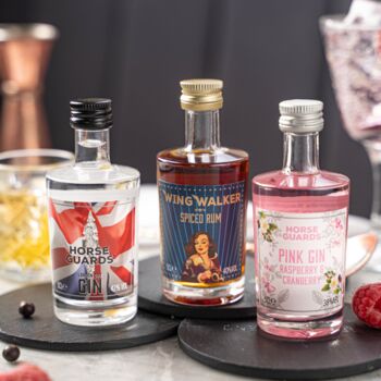 Horse Guards Gin And Wing Walker Rum Miniature Gift Set, 2 of 2