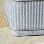 Set Of Three Industrial Corrugated Tub Planters, thumbnail 4 of 8