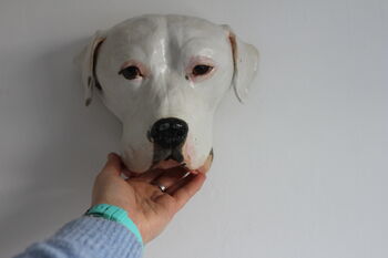 Wall Mounted Pet Head Sculpture, 9 of 9