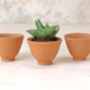 Egg Cup Terracotta Plant Pot Set, thumbnail 1 of 3