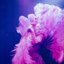London Cabaret Experience For Two, thumbnail 1 of 12