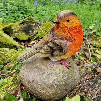 Pair Of Cute Robin Red Breast Garden Ornaments, 5 of 9