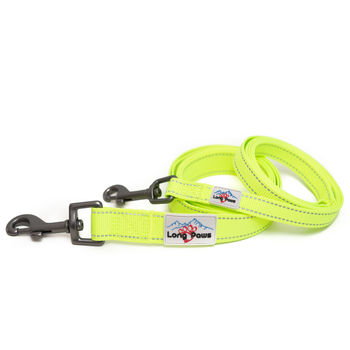 Neon Reflective Dog Collar And Lead Set, 5 of 5