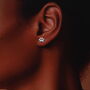 'Pawsome Christmas' From The Pet Paw Print Earrings, thumbnail 4 of 10