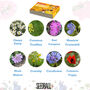 Seed Ball Making Activity Kit With Bee Friendly Wildflower Seeds, thumbnail 9 of 12