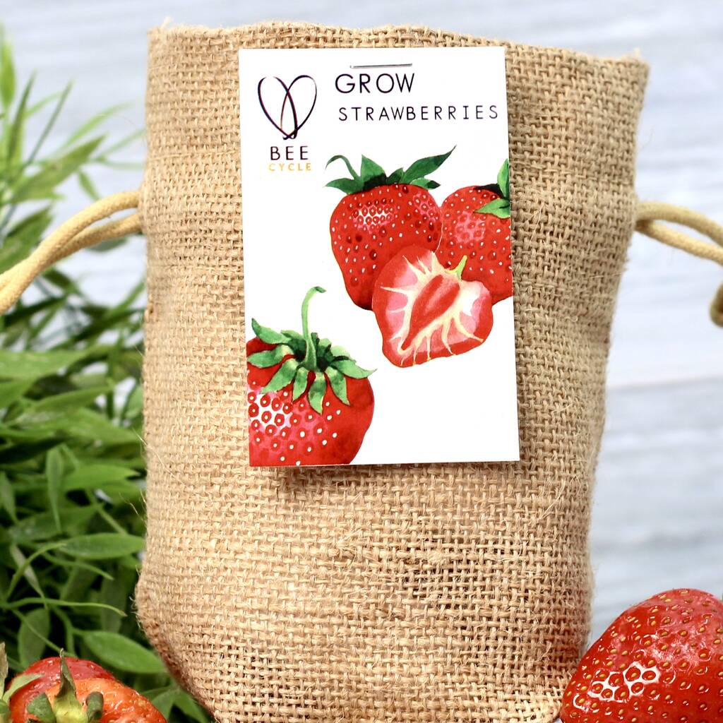 Strawberry Jute Bag Grow Set, 1 of 6