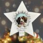 Personalised Christmas Springer Spaniel Break Through, thumbnail 9 of 10