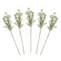 Gypsophilia Artificial Foliage Stems, thumbnail 2 of 4