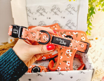 Peach And Ivy Blossom Dog Collar, 3 of 5