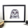 Barn Owl Pen And Ink Illustration Framed Print, thumbnail 1 of 3