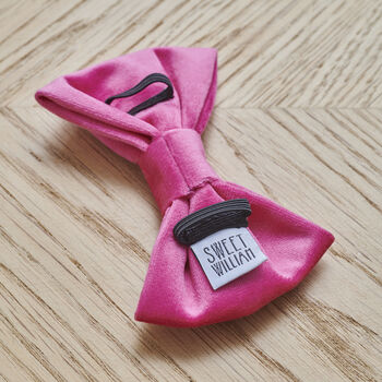 Pink Velvet Dog Bow Tie, 4 of 6