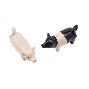 Pig Salt And Pepper Shakers In Gift Box, 3 of 3