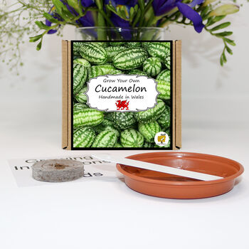 Grow Your Own Cucamelon Plant. Salad Growing Kit, 2 of 4