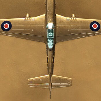 'Mustang' Limited Edition Aircraft Print, 3 of 4