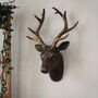 Decorative Stag Head, thumbnail 3 of 3