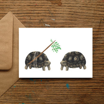 Mistletoe Tortoise Christmas Cards, 2 of 10