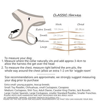 Wild Meadow Bunny Dog Harness With Optional Set, 2 of 12