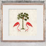 Flamingo And Palm Tree Signed Print, thumbnail 2 of 2
