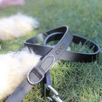 Personalised Brown Or Black Leather Dog Name Collar, 12 of 12