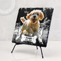 Personalised Pet Dog Memorial Photo Slate With Professional Photo Editing, thumbnail 1 of 6