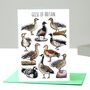 Geese Of Britain Greeting Card, thumbnail 1 of 7