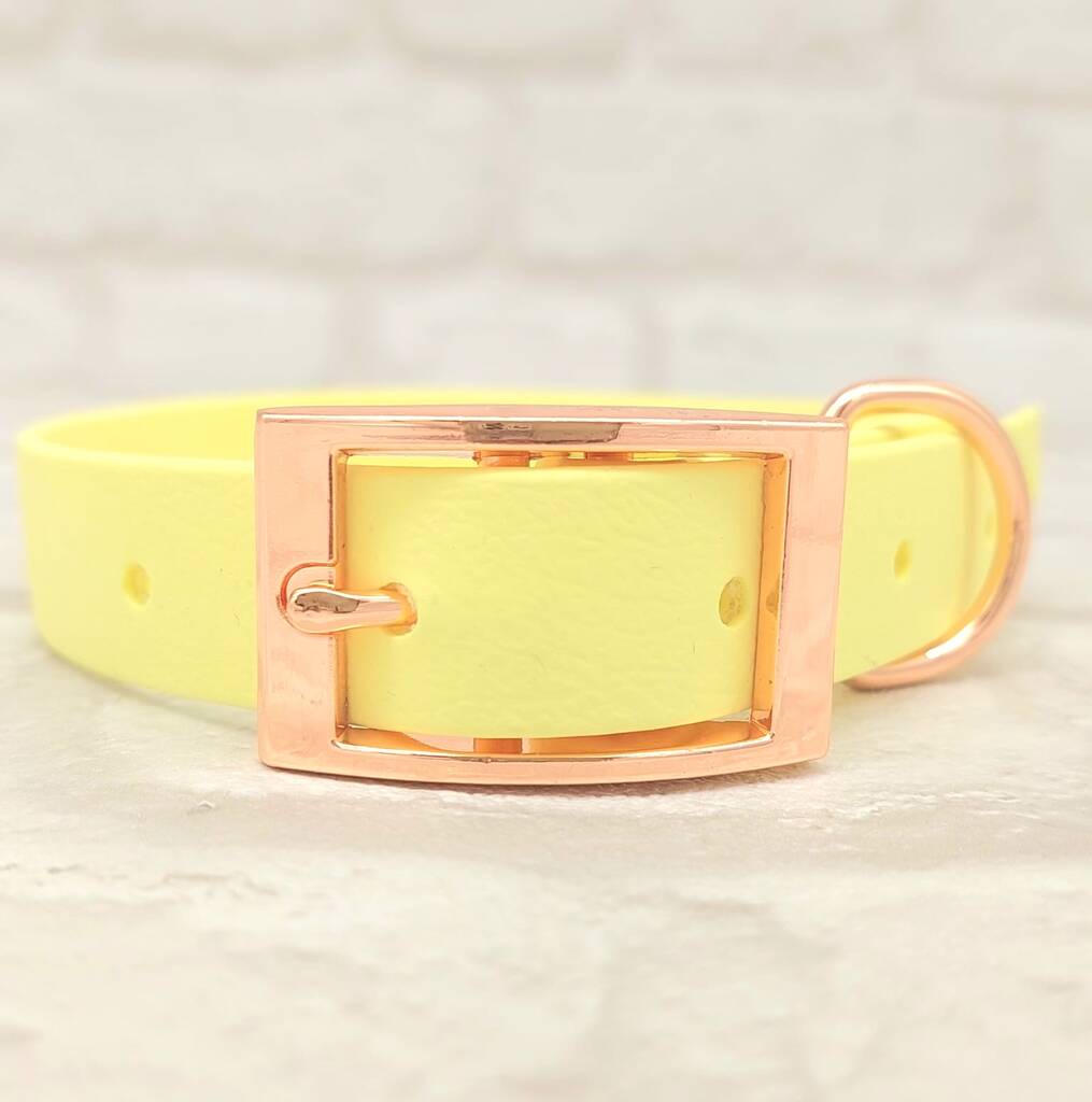 Waterproof Dog Collar And Lead Set Sherbet Lemon Rg By Trinkety Paws