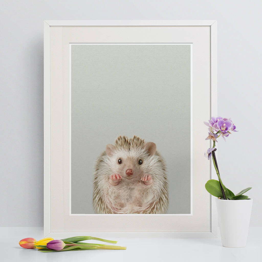 baby hedgehog nursery animal art print by strawberry valley prints