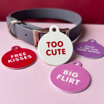 Cheeky Slogans Pet ID Tags, 2 of 10