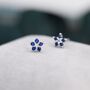 Sapphire Blue Forget Me Not Flower Cz Stud Earrings, thumbnail 3 of 9