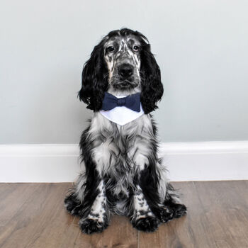 Dog Bow Tie Wedding Bandana, 11 of 11
