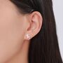 Sterling Silver Salamander Stud Earrings, thumbnail 3 of 12