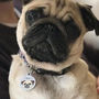 Pug Personalised Dog ID Name Tag, thumbnail 10 of 12