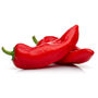Chilli Pepper 'Apache' 12x Plug Plant Pack, thumbnail 4 of 5