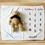 Milestone Baby Elephants Cotton Fine Knit Blanket, thumbnail 6 of 12